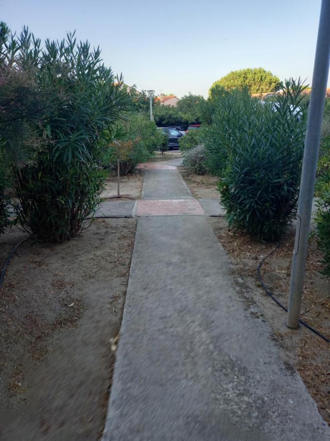 Appartement Saint Cyprien Plage Residence Les Mas De La Mer Eksteriør billede