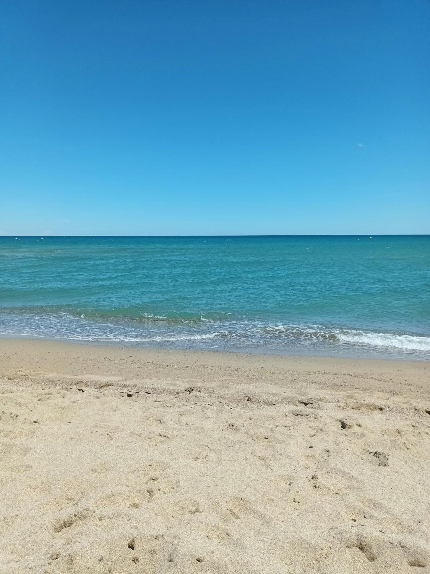 Appartement Saint Cyprien Plage Residence Les Mas De La Mer Eksteriør billede